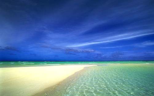 Playa dorada en Lanzarote