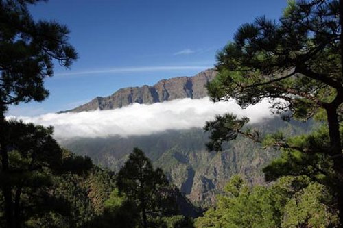 La Palma