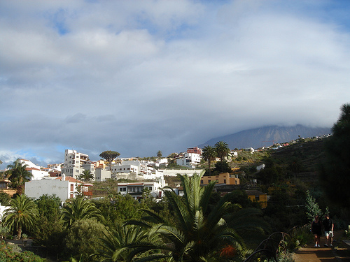 Icod de los Vinos, excursión en Tenerife