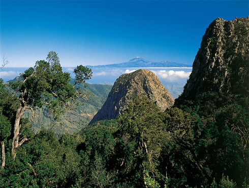 Parque Nacional de Garajonay